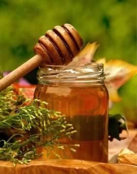 秋季食疗:润燥首选莲藕 滋阴首选蜂蜜