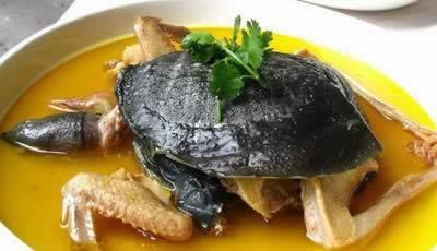 10�ֲ�����ʳ�����Ů������