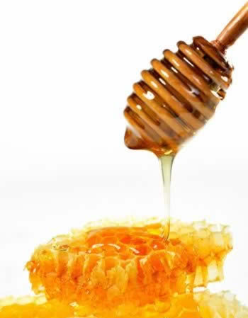 ��������������������� 8��������Ч