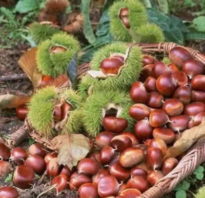 �ﶬ������������������ 8ʳ�����㲻����