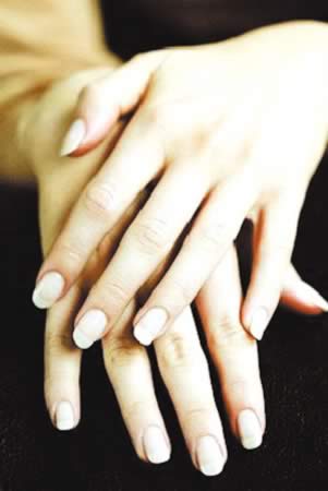 ��������:�ֽű��� ��ʳ����������