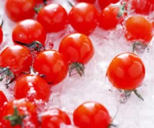 ������ѵ�7����ζʳ��