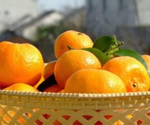 ������ѵ�7����ζʳ��