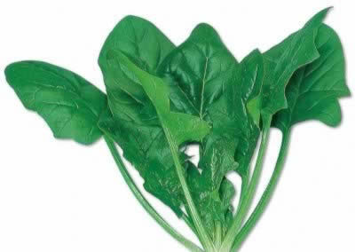 ��������ٵ�ʮ��ʳ��