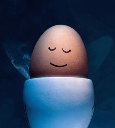 ��������ٵ�ʮ��ʳ��