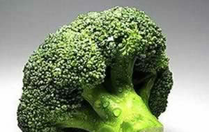 ��������ٵ�ʮ��ʳ��