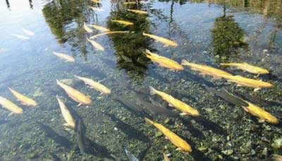 ʳ�ƣ����8���������������伾��