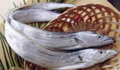 ʳ�ƣ����8���������������伾��