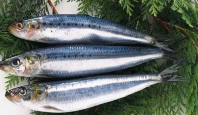 ʳ�ƣ����8���������������伾��