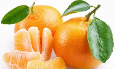 �Ժڰߺ������ж� ������ʳ��֪�߸�����