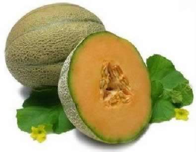 �̵㣺ʮ�󳣳Ե�����ʳ��