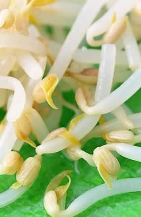 补血益气 不得不吃的黄金养生8食物