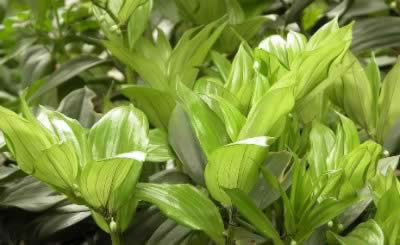 �ﶬ�������˿θ����� �������ﲻ����