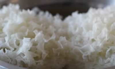 �ﶬ�������˿θ����� �������ﲻ����