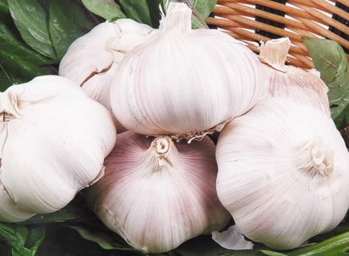 普通食物换种吃法健康立刻升级