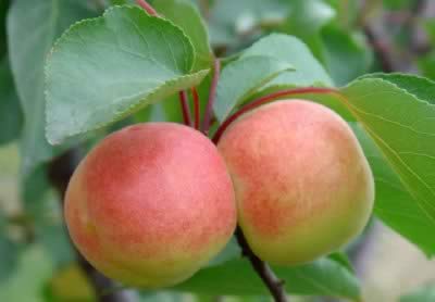 �����ѷ��ϸ�� 8��ʳ����&ldquo;��&rdquo;