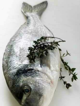 9����ʳ���Ե��ǽ���