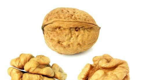 9����ʳ���Ե��ǽ���