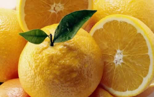 9����ʳ���Ե��ǽ���