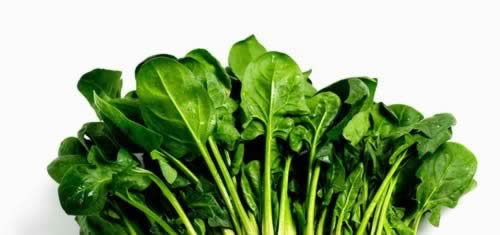 9����ʳ���Ե��ǽ���