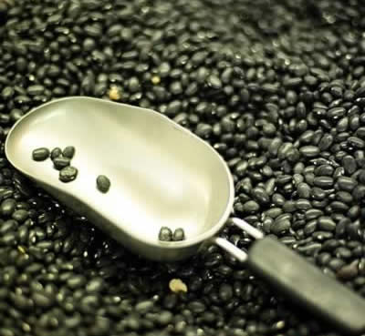 黑豆补气抗衰老 4大黑色食品有保健奇效