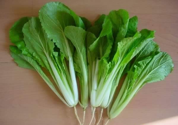 �ﶬ�س�7����������߲� ������Ƣ