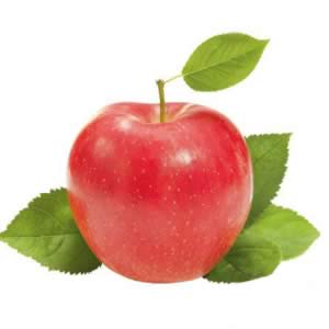 ����������ʳ�����а�