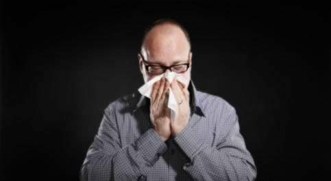 �ﶬ�������� ���Щ��ɫʳ���