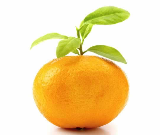 �ߴ�ˮ����������Ч