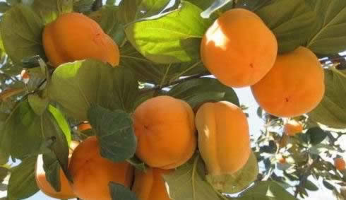 �ߴ�ˮ����������Ч