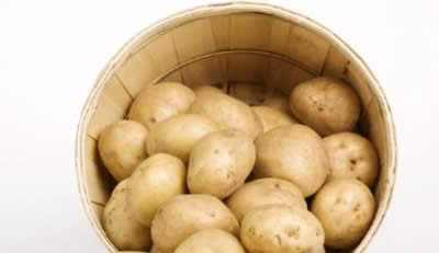 ������������������ 10�����Ÿ�Ӫ����ͼ��