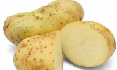 ������������������ 10�����Ÿ�Ӫ����ͼ��