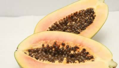 ʳ�ƣ�ˮ�������� �㶨10��Сë��