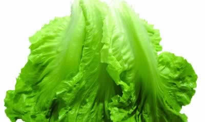 �ﶬ��ʳ�������������� ��ס��Ҫ��������