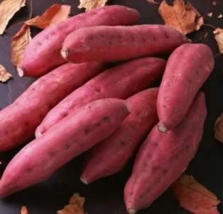 ����������8�ֶ���ʳ��