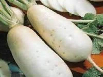 ����������8�ֶ���ʳ��