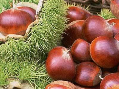 ����������8�ֶ���ʳ��