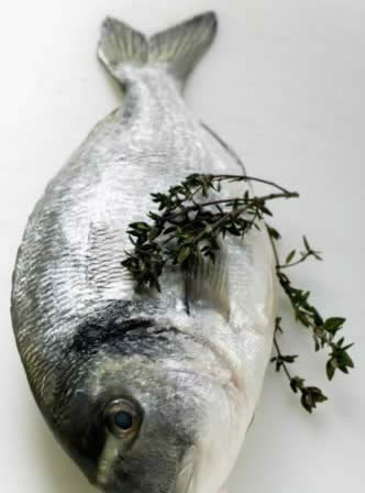 9������ʳ�����������