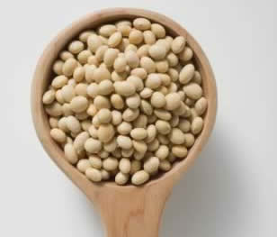 9������ʳ�����������