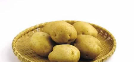 9������ʳ�����������