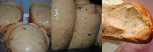 õ���������������