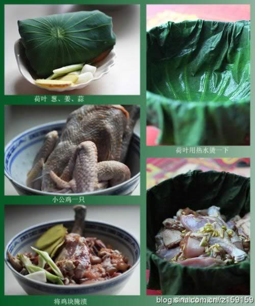 ������Ҷͯ�Ӽ�������