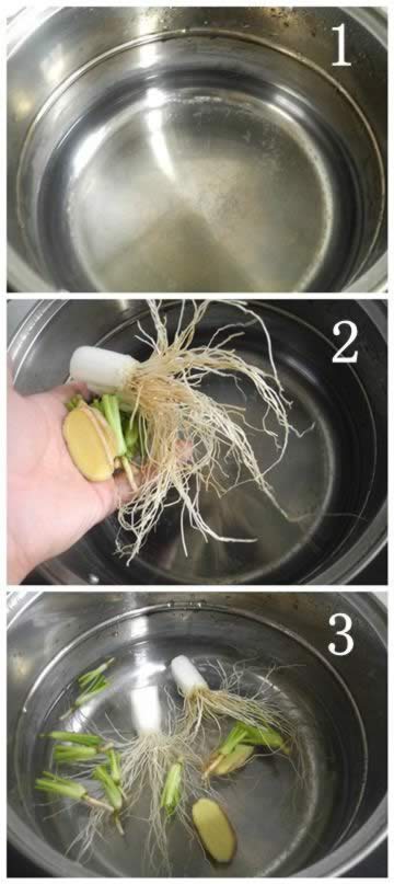 ���Ʒ纮��ð����Ч��ʳ�Ʒ�������