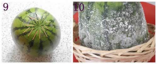 ��ͥ��������˪������