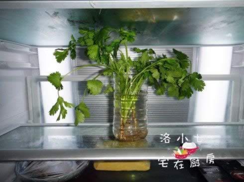 ����ӳ���˱����ڵ�����