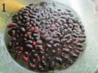 ɣ���㽶����������