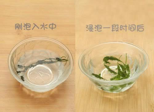 �����ô���棿������