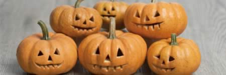 ���Խ�������Ҫ��9��ʳ��