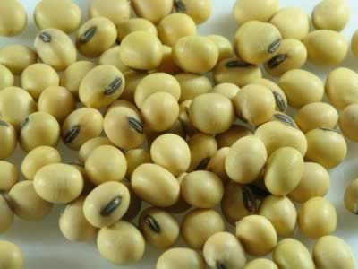 7��Ӫ������ʳ�� Ů����Ӧ���