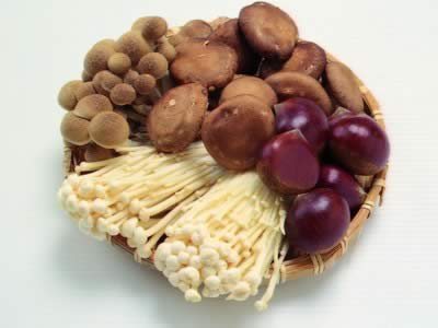 7��Ӫ������ʳ�� Ů����Ӧ���